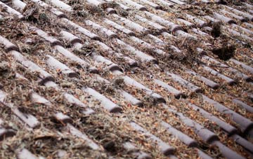 Loxley Green roof cleaning companies