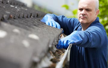 cleaning and inspecting Loxley Green roofs